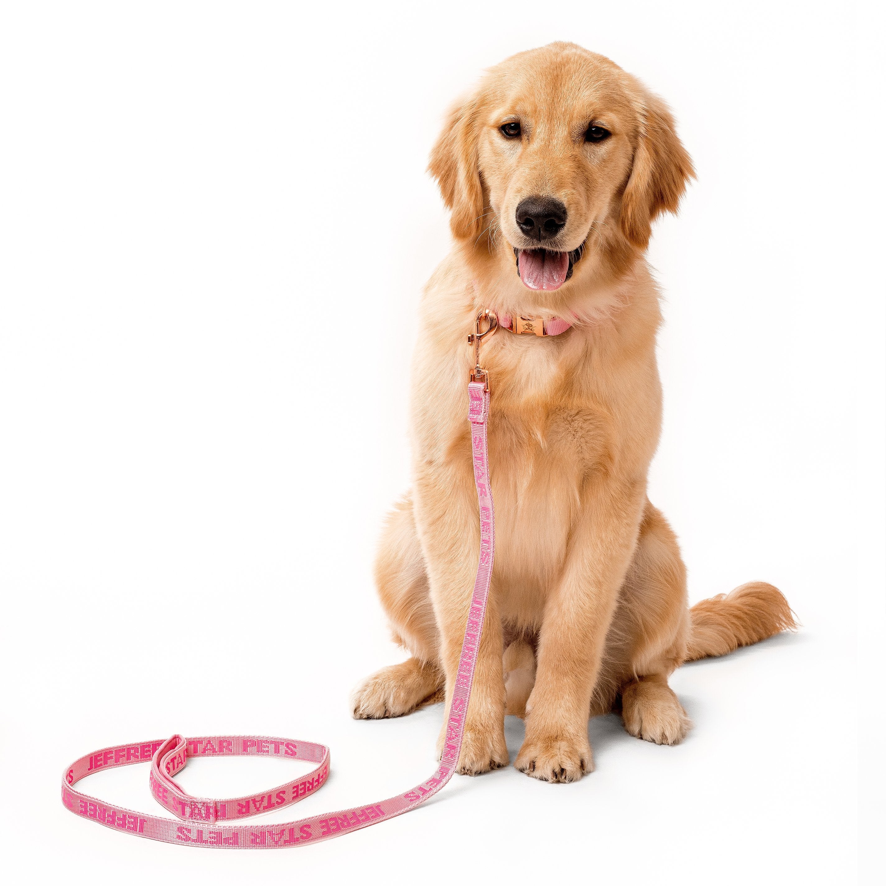 Woven Pink Leash